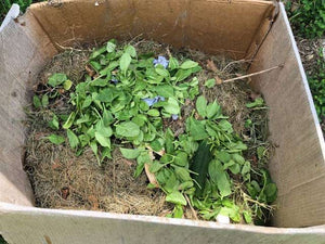 I don't have a compost bin! What do I do?